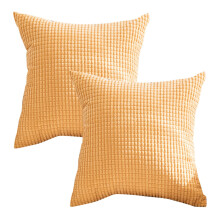 Lot de 2 housses de coussin Spring 24x24 pouces (61x61 cm) en velours côtelé doux à rayures, idéales pour canapé, salon ou voiture.