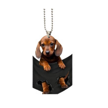 Colier drăguț cu etichetă de câine Labrador pentru iubitorii de câini, pandantiv adorabil 3D cu buzunar pentru cățeluș și lanț cu bile