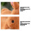 Easter Bunny Plush Toy 11.8 Inch Hot Pink 6