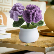Fleurs en pot au crochet faites main, tissées à la main, cadeaux d'anniversaire pour la famille, les amies, les femmes, la fête des mères, une