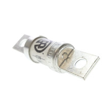 100 Amp 500 VAC Fuse