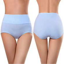 Womens Underwear Seamless High Waisted Briefs Stretch No Show Breathable Full Coverage Solid Color Ladies Panties