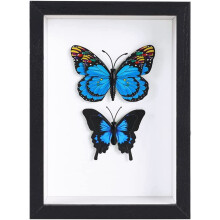 4x6 Black Small Shadow Box Frame Display Case for Photos,Flowers,Wedding Bouquets,Awards,Insects and Memorabilia