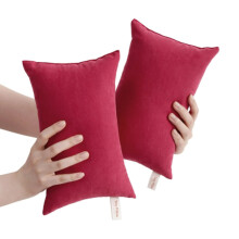 2 Pack Small Pillow, Mini Pillow for Travel, Sleeping, Nap and Neck, Knee, Lumbar Support, Tiny Cushion for Pet, Dogs, (Multicolor), 11x7"