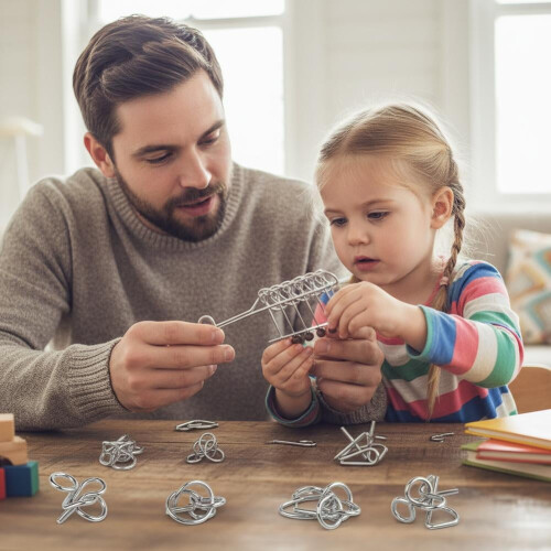 Brain Teaser Puzzles, Metal Wire Puzzles Set, IQ Challenge Puzzle Games 2