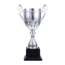 Award Trophies, Trophy Cup, Kids Small Trophy Appreciation Gifts, Keepsake with Base Winning Trophy Prizes for Competition, Sports Party Decor S