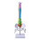 Human Spine Model Anatomical 45 cm 1