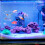 Clear Acrylic Fish Isolation Box Breeding Tank for Aquarium Use 4