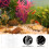 Clear Acrylic Fish Isolation Box Breeding Tank for Aquarium Use 8