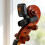 Clip-On Violin Tuner – 360 Rotatable Backlit LCD for String Instruments (Violin/Cello) 7