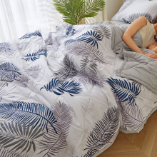 Summer Cooler Quilt – Washable, Lightweight Cooling Blanket for All Seasons, Machine Washable, Oversized King Size Coverlet