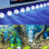 Pool supplies Remote Control Swimming Pool Lighting Underwater Decorative Lights Summer Pool Essentials 6