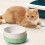 Heated Ceramic Cat Bowl with Elevated Stand 3