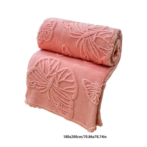 Coral Fleece Blanket Butterfly Pattern 50x60 Inch 2
