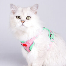 Escape-Proof Cat Harness & Leash Set – Reflective, Adjustable Air Mesh Vest, Pressure-Reducing Design, Pink; compatible with cats & small dogs