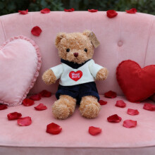 Valentine's Day Teddy Bear Cuddly Toy 1 Pack