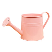 Metal Watering Can for Home and Garden Use with Ergonomic Handle for Indoor Outdoor Care
