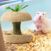 Hamster Rabbit Chew Toys for Teeth, Natural Organic Wood compatible with Apple Sticks and Timothy Hay Treats