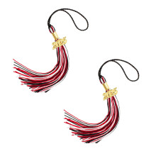 2pcs 2025 Graduation Tassels with Year Date, Multi-Color Academic Cap Decorations for Graduates