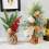 Διακόσμηση Σπιτιού με Πολλαπλές Σκηνές με Ανθεκτικά Ράφια Τοποθέτησης στον 1