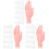 3Sets High Simulation Pink Practice Hand Model Manicure Training Tool 3