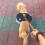 Dog Camping Backpack Dog Saddlebag Dog Rucksack Dog Backpack 2