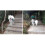 Dog Camping Backpack Dog Saddlebag Dog Rucksack Dog Backpack 4