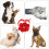 Dog Accessoires Velvet Halsband 3