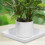 2Pcs Thickened White Plastic Pot Water Trays Square Saucers for Plants 4