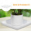 2Pcs Thickened White Plastic Pot Water Trays Square Saucers for Plants 9