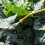 Bulb Duster with Brass Wand38x7x15cm 4