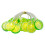 LED citron lyskæde indendørs udendørs 3 meter 3