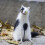 Wool Felt Cat and Opossum Figurines Handmade 2pcs 7