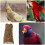 Speeltje En Vogelplatform Huis 10