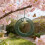 Hanging Wreath Bird Feeder with Hook Outdoor Decorative 6