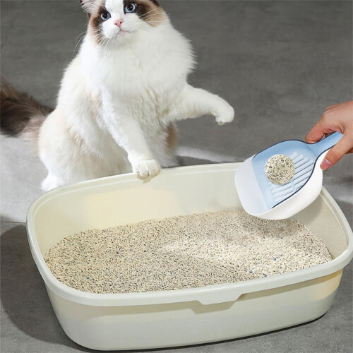 Tarofish kattenbakschepje set blauw 12,4 inch 2