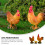 Resin Rooster Mini Figurine Assorted Colors 3 pcs 8