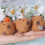 Capybara Needle Felting Supplies Kit with Tools 7