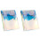 2Pièces Protège-Cahiers PVC Coloré Multi Pour École 3
