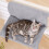 Lit radiateur suspendu DAMAI style chat 5