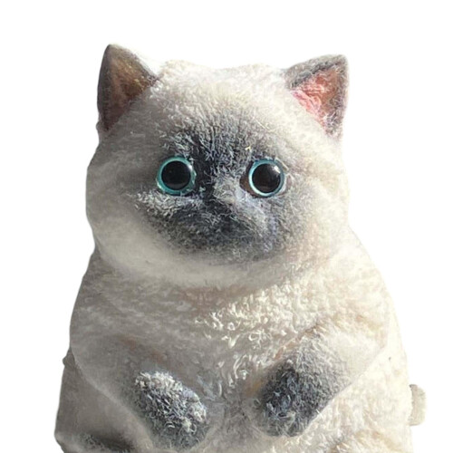 Cat Taba Squishy Sensoriske Stressbolde, Søde Simulerede Katte Klem Fidget Legetøj til Angst og Afslapning 2
