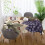 Grapes with Leaves Rectangle Table Cloth Tablecover Dinning Tablecloth 60"x90" 6