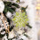 Christmas Snowflake Ornament Silver Plastic 36 pcs 4