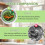 Cactus Kitchen Sink Drain Strainer with Auto-Dump Basket, Multi-Functional Lifting Filter Net – Compatible with Standard Sinks 3