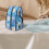Portable Steamer Carrying Case Protective Bag Only 3