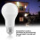 Smart Dusk To Dawn LED Lighting Solution, 5W Bulbs Universal Medium Base, Cold White (5pcs), Energy Efficient With Solid State Technology For 5