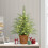 Pre-Lit 2ft Mini Christmas Tree Green Nordic Spruce with 4