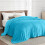 (Light Blue, Double: 150 cm x 200 cm.) Solid 310 GSM Fleece Blanket Warm Thick Soft Fluffy Bed Mink Sofa Throw 1