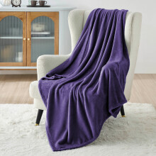 (Purple, Double: 150 cm x 200 cm.) Solid 310 GSM Fleece Blanket Warm Thick Soft Fluffy Bed Mink Sofa Throw