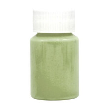 20g Waterproof Acrylic Glow In The Dark Luminous Paint Color Non-Toxic